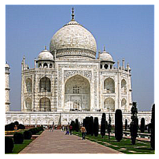 Taj1